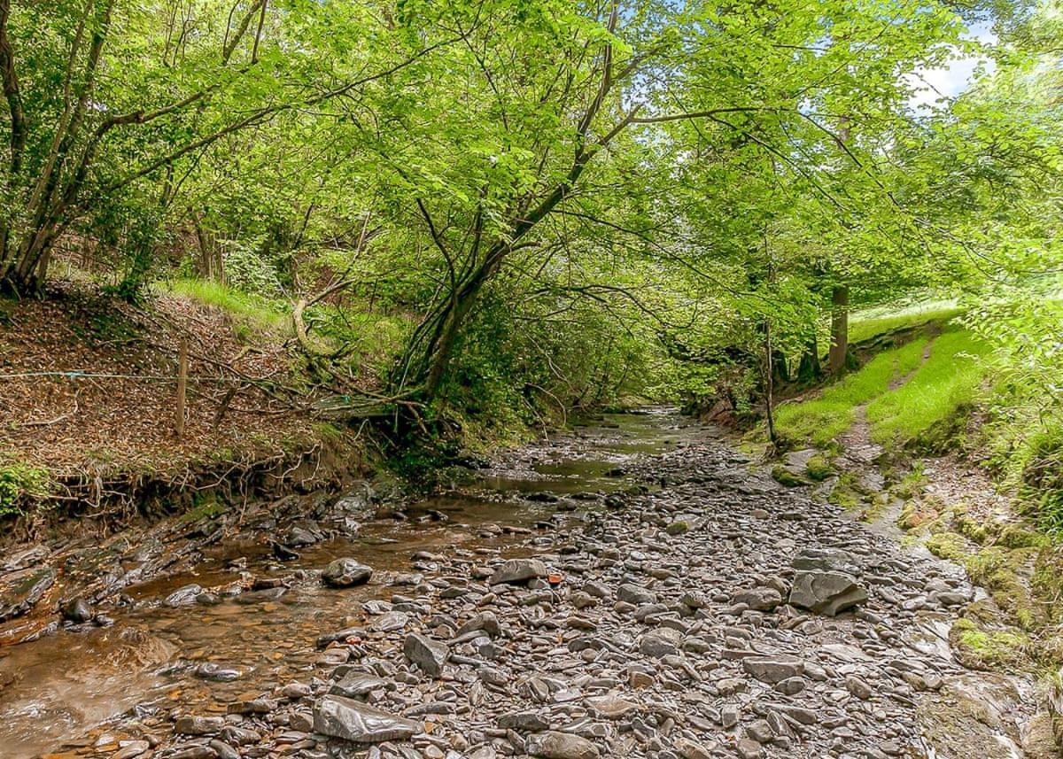 Nant-Y-Coed Lodges Mochdre  المظهر الخارجي الصورة
