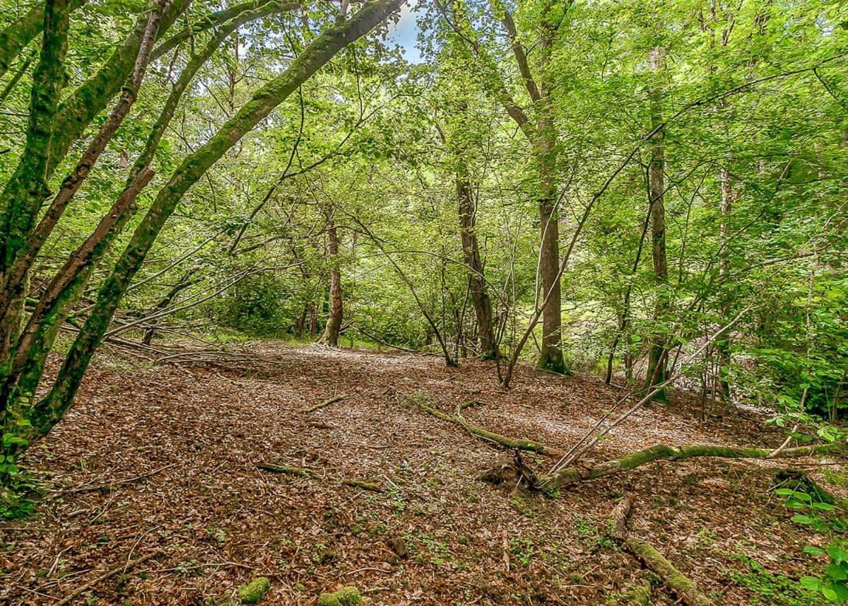 Nant-Y-Coed Lodges Mochdre  المظهر الخارجي الصورة